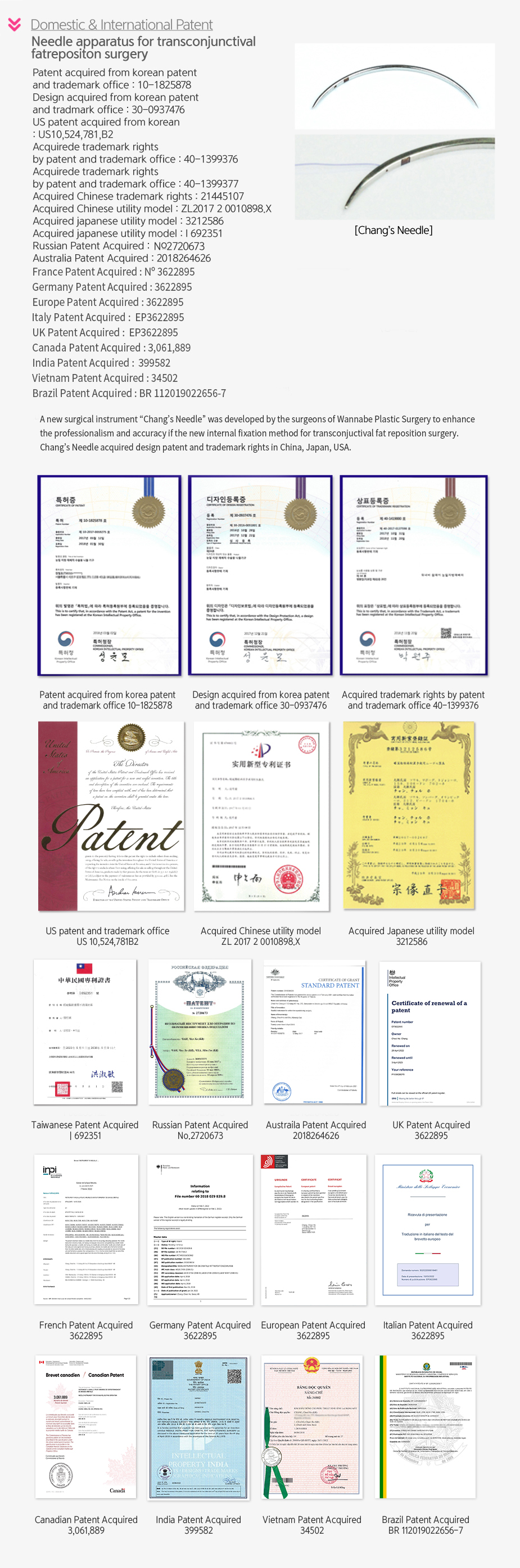 Domestic & International Patent