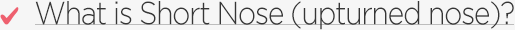Short nose(upturned nose)
