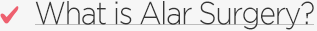 Alar Surgery