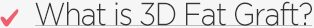 What is 3D Fat Graft?